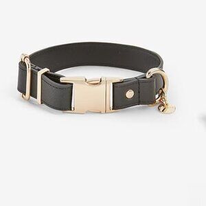 NWT EXPRESS Faux Leather Dog Collar, Size Large